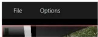 File Options