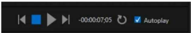 -00:00:07:05 Autoplay