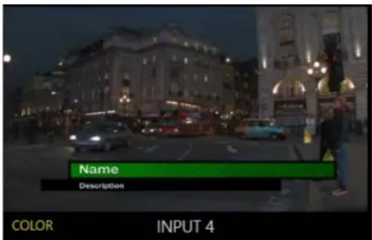 Name Description COLOR INPUT 4