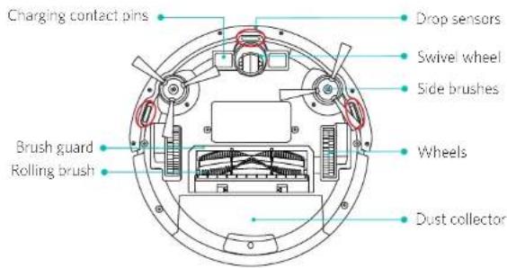 Charging contact pins Drop sensors Swivel wheel Side brushes Brush guard Rolling brush Wheels Dust collector