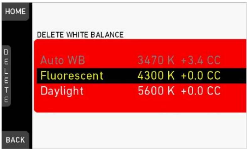 HOME DELETE WHITE BALANCE Auto WB 3470 K +3.4 CC Fluorescent 4300 K +0.0 CC Daylight 5600 K +0.0 CC BACK