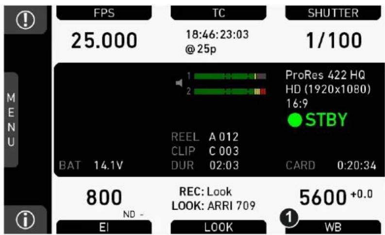 FPS 25.000 TC 18:46:23:03 @ 25p SHUTTER 1/100 PRORes 422 HQ HD (1920x1080) 16:9 STBY BAT 14.1V REEL A 012 CLIP C 003 DUR 02:03 CARD 0:20:34 800 ND - REC: Look LOOK: ARRI 709 5600 +0.0 EI LOOK WB