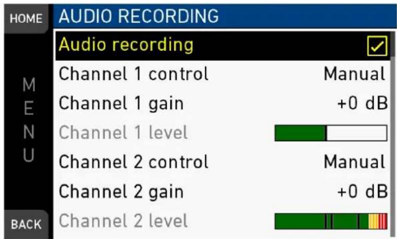 HOME AUDIO RECORDING Audio recording Channel 1 control Manual Channel 1 gain +0 dB Channel 1 level Channel 2 control Manual Channel 2 gain +0 dB Channel 2 level