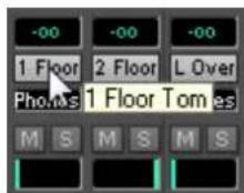 RME HDSPe AES-32 - Editing the Names - 1