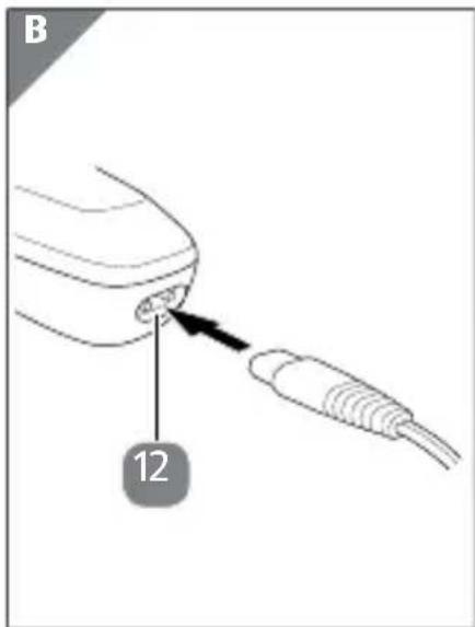 B 12