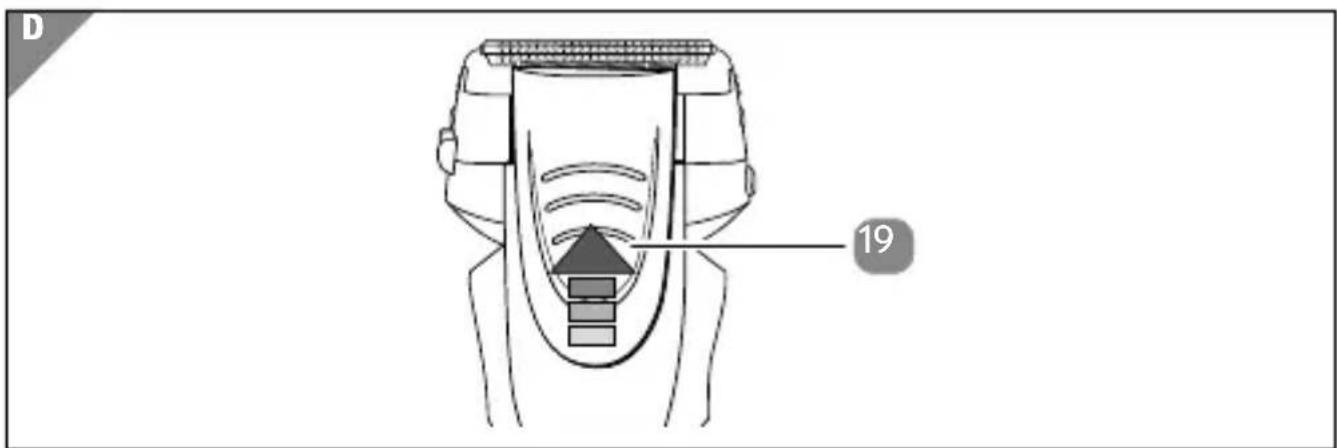 D 19