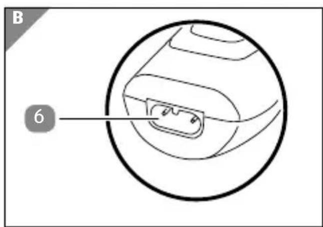 B 6