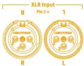 SPL Phonitor mini - XLR-Buchsen - 1