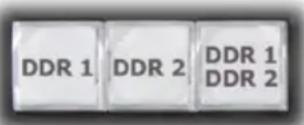 NEWTEK TriCaster 460 - DDR DELEGATE - 1