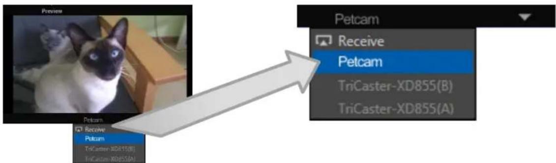 NEWTEK TriCaster 460 - VIEWPORT TOOLS - 3