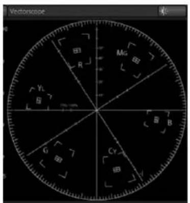 NEWTEK TriCaster 460 - VECTORSCOPE - 1