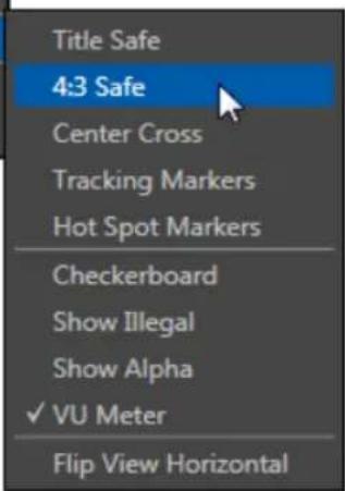 NEWTEK TriCaster 460 - VIEWPORT OPTIONS - 3