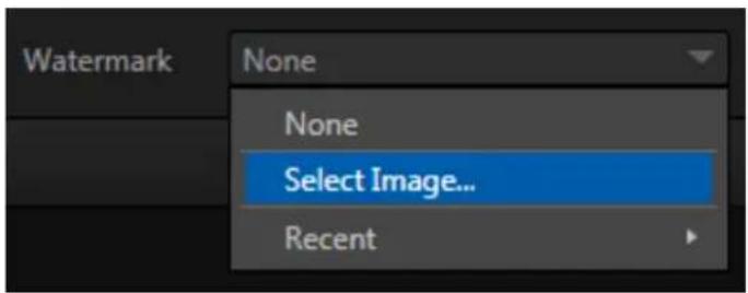 NEWTEK TriCaster 460 - WATERMARKING - 1