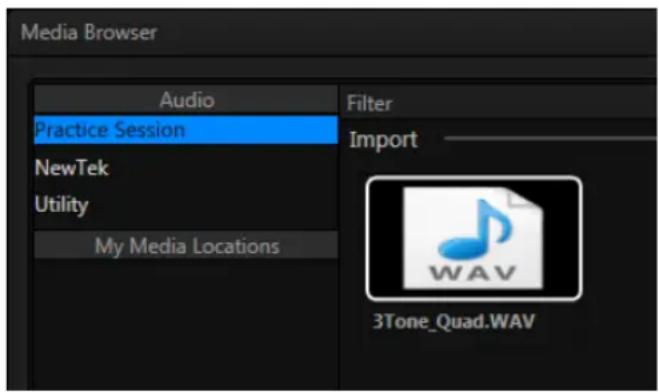 NEWTEK TriCaster 460 - MUTE, MONO AND BALANCE - 1