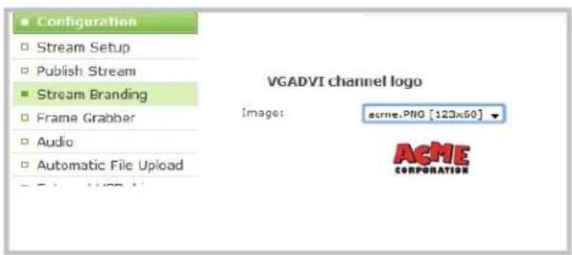 Epiphan VGADVI - To apply company information and logo to a channel - 3