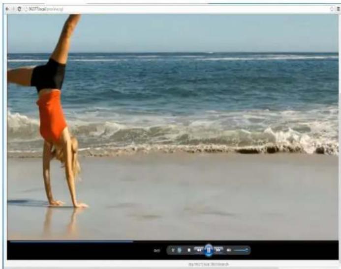 Epiphan VGADVI - View your broadcast using the Live View button on the Info menu - 1
