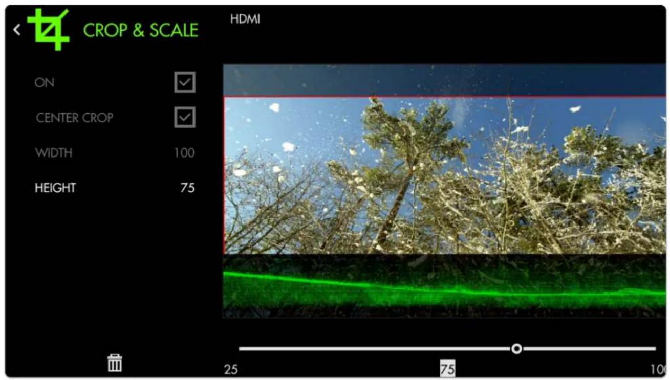 SmallHD 1703 P3X - Crop & Scale - Quick Start - 6