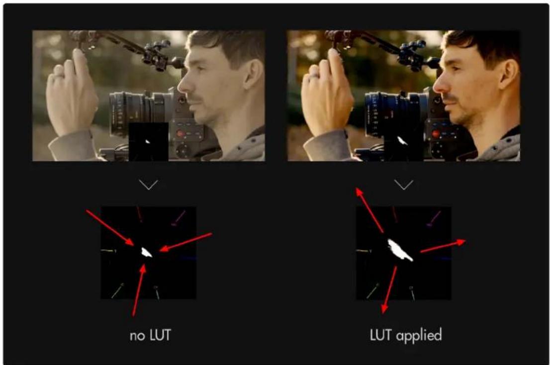 SmallHD 1703 P3X - Vectorscope - Quick Start - 3