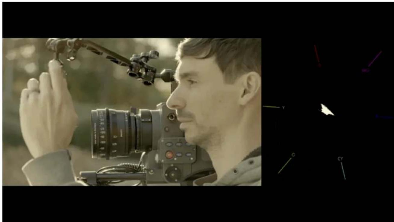 SmallHD 1303 HDR - Vectorscope - 2