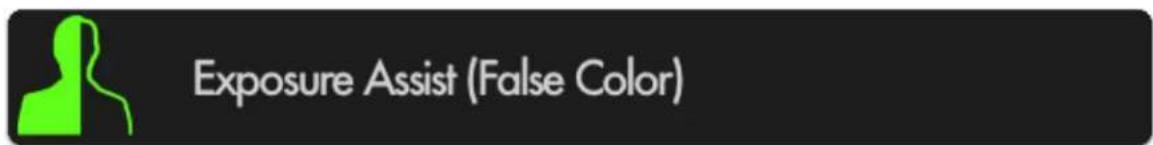 SmallHD 1303 HDR - Exposure Assist (False Color) - 1