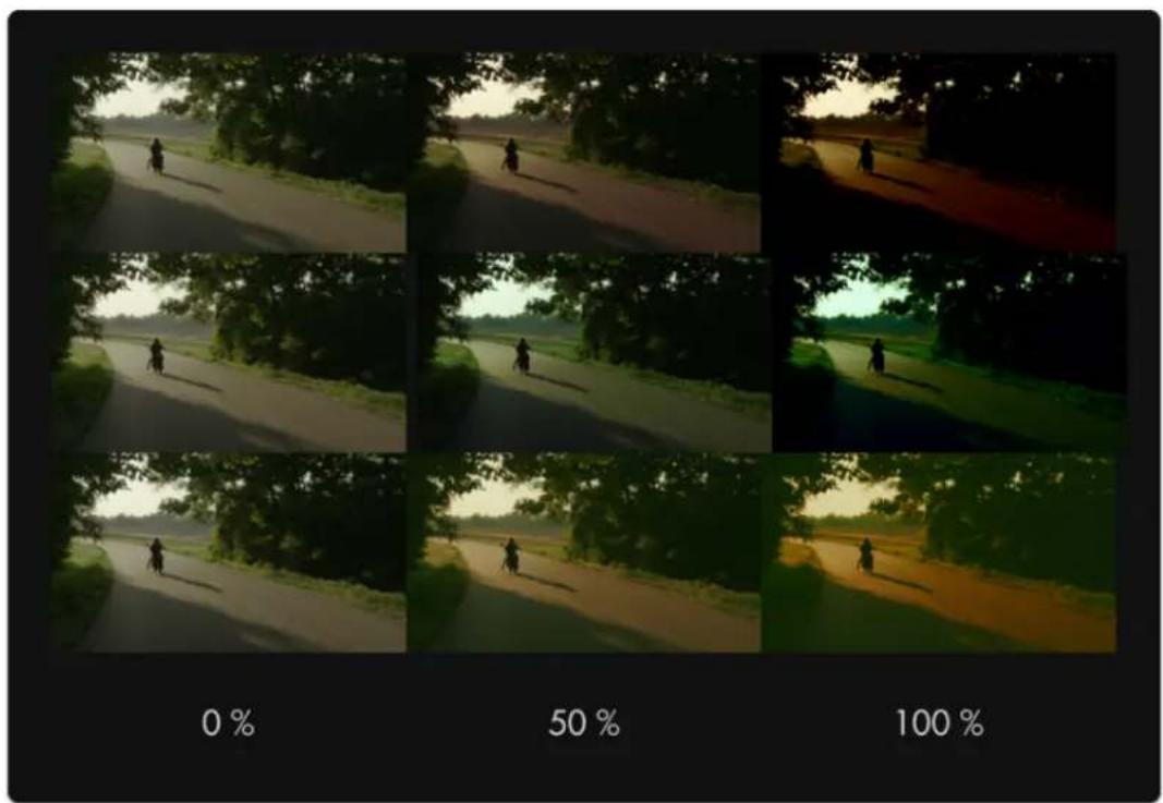 SmallHD 1303 HDR - Intensity - 1