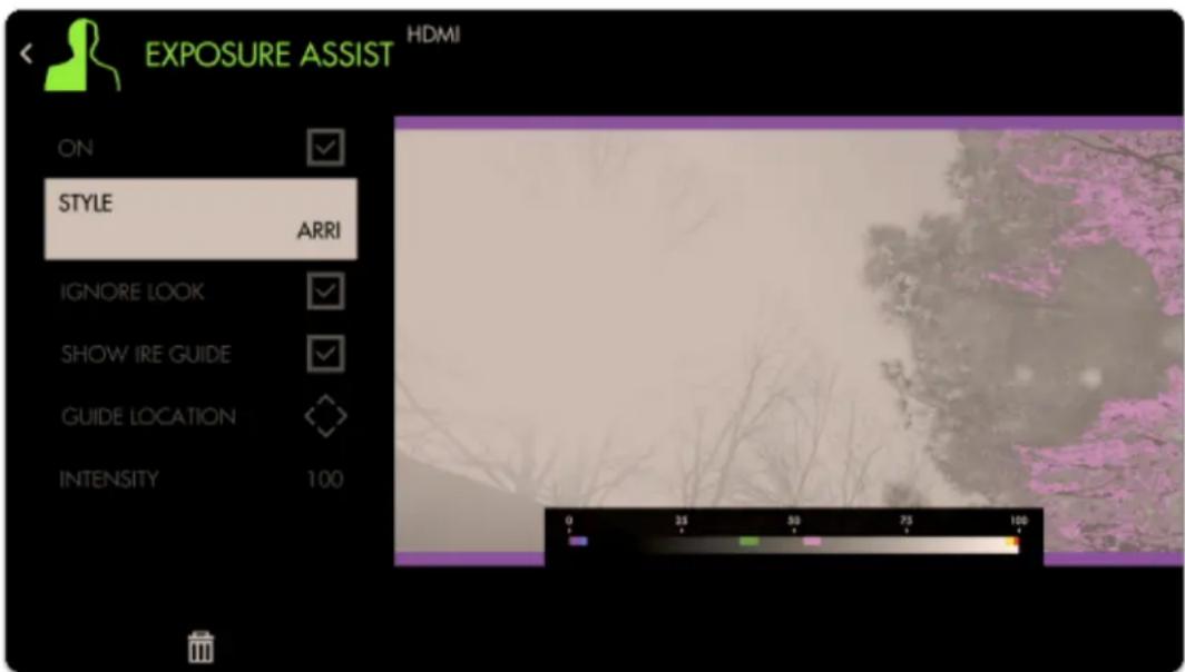 SmallHD Cine 24 - Exposure Assist - Customization - 4