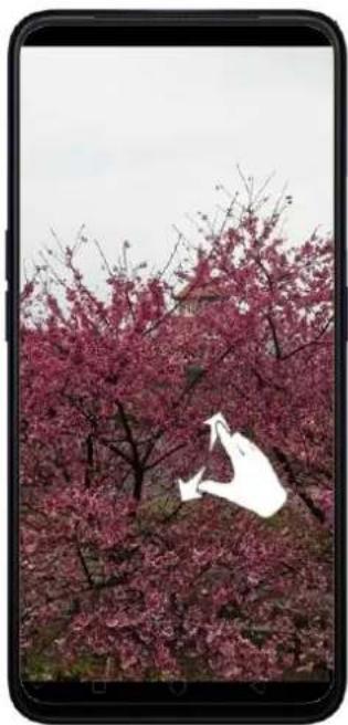 Realme C2 - View, Zoom In and Out - 4