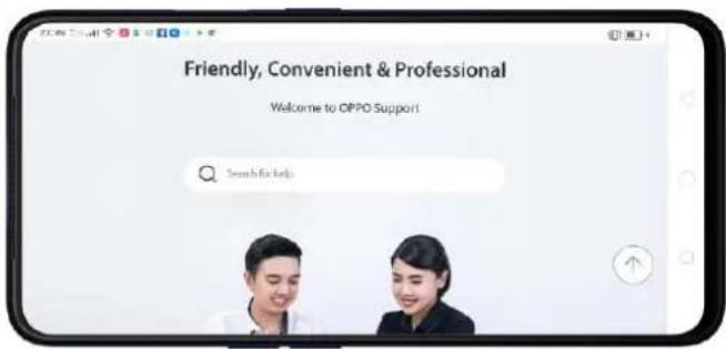 Realme C2 - Browse the web - 2