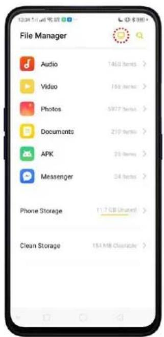 Realme C2 - Remotely Manage Phone Files - 1