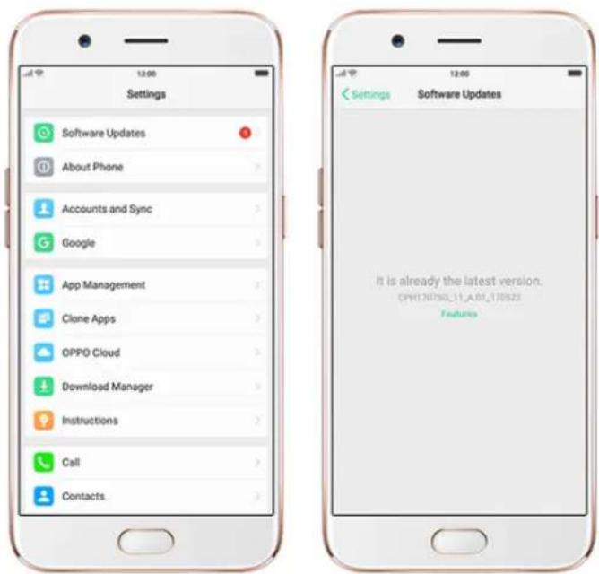 Realme C2 - Update your realme phone wirelessly - 1