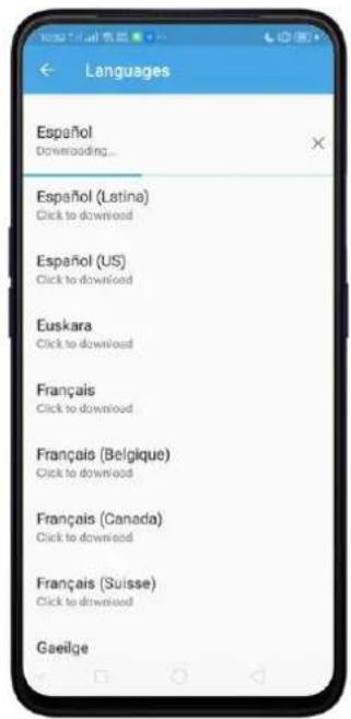 Realme C2 - Add or Change Keyboard Languages - 5