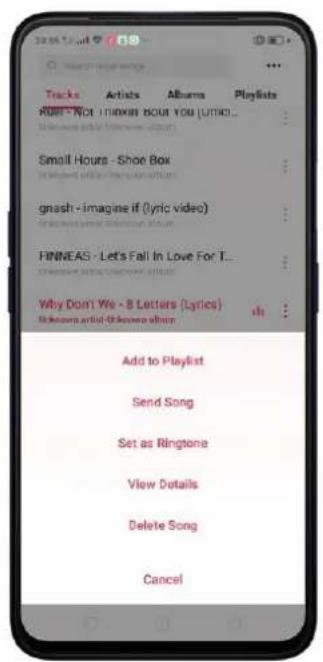 Realme C2 - Music - 1
