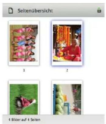 LaserSoft Imaging PrinTao 8 - Image properties - 1