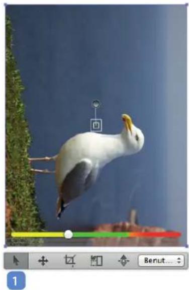 LaserSoft Imaging PrinTao 8 - Cropping an image - 2