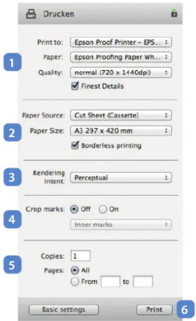 LaserSoft Imaging PrinTao 8 - Print - 2