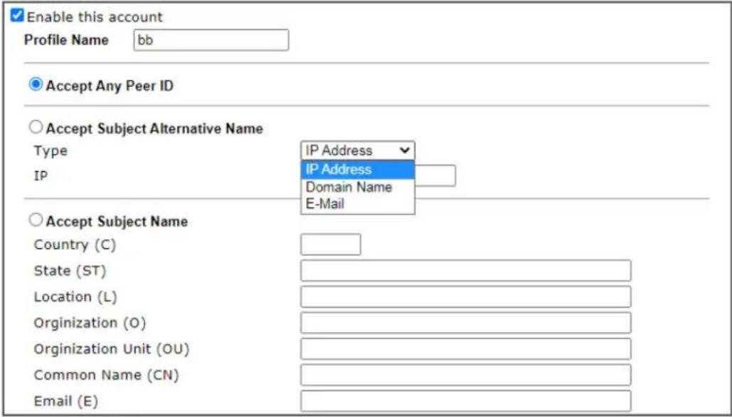 Draytek Vigor 3910 - III-1-5 IPsec Peer Identity - 1