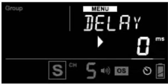 Cactus RF60x - Delay Timer - 2