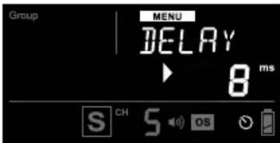 Cactus RF60x - Delay Timer - 3