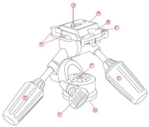 Oben PD-117 - Thank You for choosing Oben! - 1