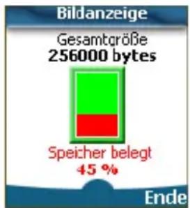 Bildanzeige Gesamtgröße 256000 bytes Speicher belegt 45 % Ende