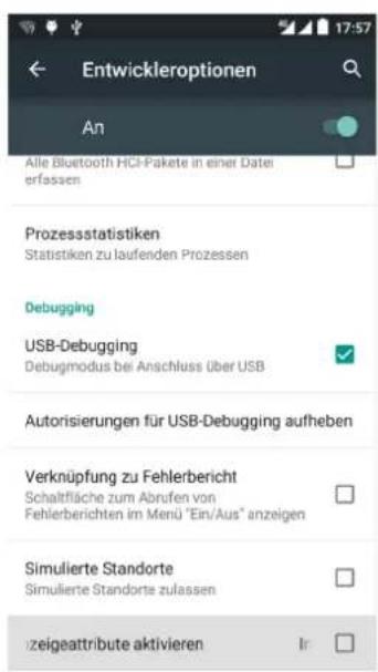 bq Aquaris M - { } ENTWICKLEROPTIONEN - 2