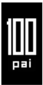 100 pai