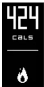 424 CALS —