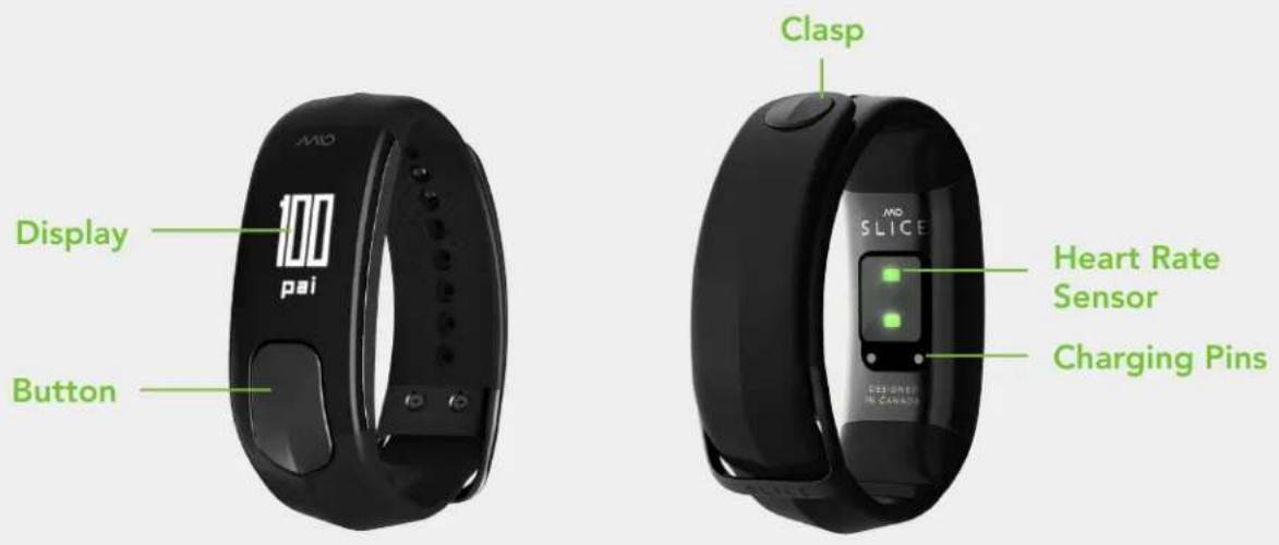 Display 100 pai Button Clasp Heart Rate Sensor Charging Pins MiO SLICE PRESIDENT IN CANADA
