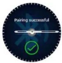 Pairing successful