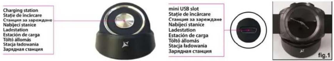 Charging station Stație de încărcare Станция за зареждане Nabijeci stanice Ladestation Estación de carga Tõltõ állomás Stacja ładowania Зарядная станция mini USB slot Stație de încărcare Станция за зареждане Nabijeci stanice Ladestation Estación de carga Tõltõ állomás Stacja ładowania Зарядная станция fig.1