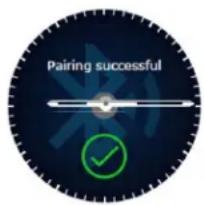 Allview Hybrid T - Verbindung und Paarung der Allview Hybrid S / T-Smartwatch - 4