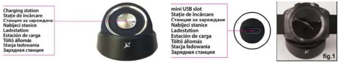 Charging station Stație de încărcare Станция за зареждане Nabijeci stanice Ladestation Estación de carga Tõltõ állomás Stacja ładowania Зарядная станция mini USB slot Stație de încărcare Станция за зареждане Nabijeci stanice Ladestation Estación de carga Tõltõ állomás Stacja ładowania Зарядная станция fig.1