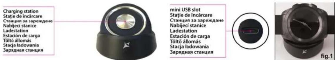 Charging station Stație de încărcare Станция за зареждане Nabijeci stanice Ladestation Estación de carga Tõltõ állomás Stacja ładowania Зарядная станция mini USB slot Stație de încărcare Станция за зареждане Nabijeci stanice Ladestation Estación de carga Tõltõ állomás Stacja ładowania Зарядная станция fig.1