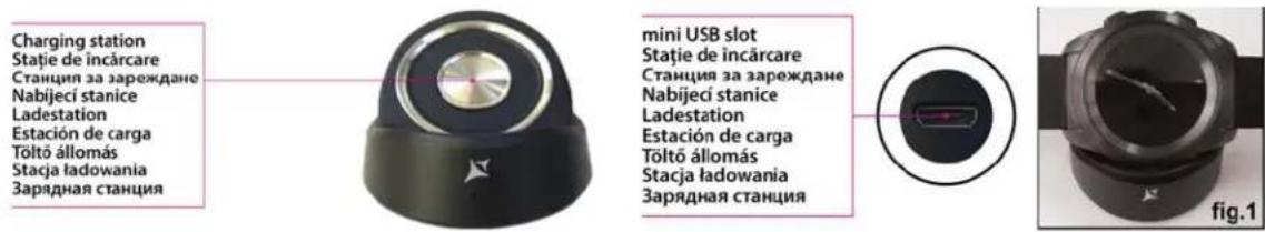 Charging station Stație de încărcare Станция за зареждане Nabijeci stanice Ladestation Estación de carga Tõltõ állomás Stacja ładowania Зарядная станция mini USB slot Stație de încărcare Станция за зареждане Nabijeci stanice Ladestation Estación de carga Tõltõ állomás Stacja ładowania Зарядная станция fig.1